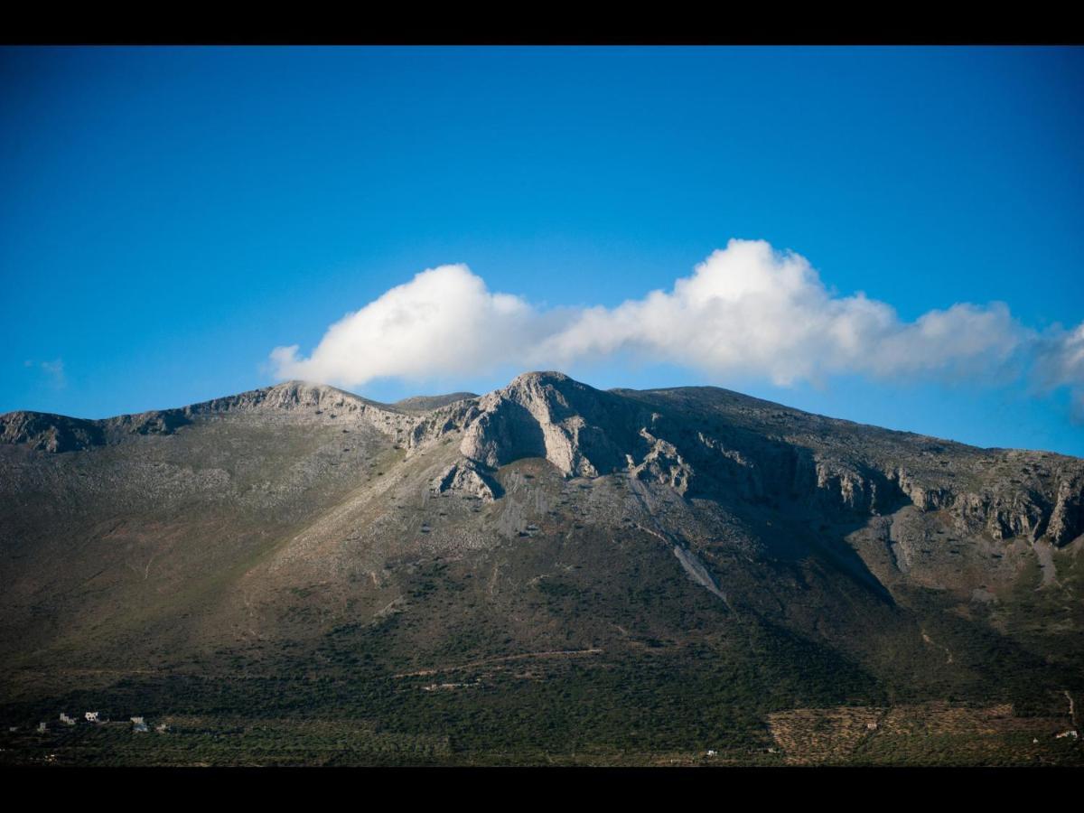 Arapakis Historic Castle Aparthotel Pírgos Dhiroú Exteriör bild